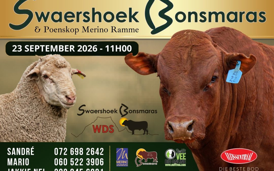 Rooipoort Merino Auction – 23 September 2026