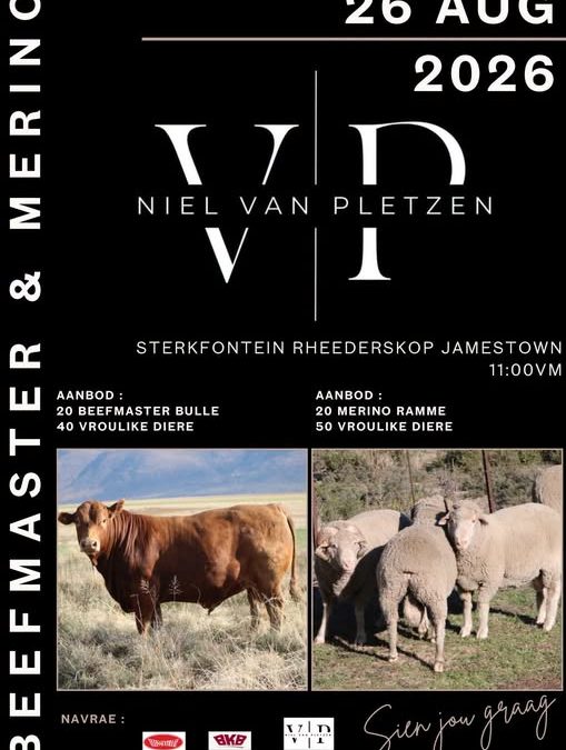 Rheederskop VPN Merino Auction – 26 August 2026
